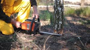 Best Soil Testing and Treatment  in Rosenberg, TX